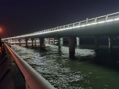 -演武大桥观景平台