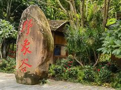 -野象谷景区
