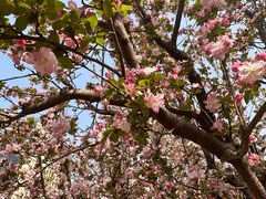 -元大都城垣遗址公园