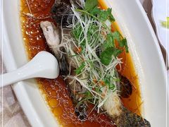 -骏莱海鲜鱼港(五角场店)