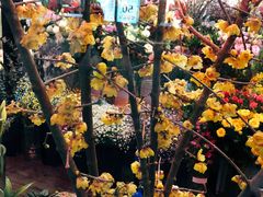 -花里花店(唐镇阳光天地店)