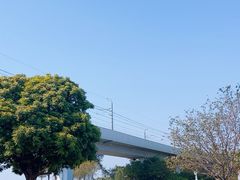 -宝安西湾红树林湿地公园