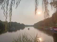 -合肥滨湖国家森林公园