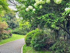-桃花岛景观公园