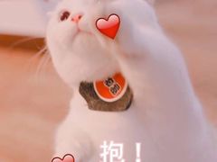 -星巴克臻选(华堂·新辰汇店)