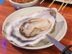 特大蚝-千岛蚝高压锅生蚝·人参火锅(白云万达店)