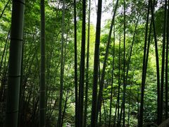 -山沟沟景区