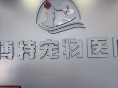 -博特宠物医院24h犬猫全科.骨科·异宠