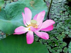 -上海市保健医疗中心