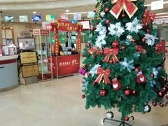 -招商银行(沈阳北市支行)