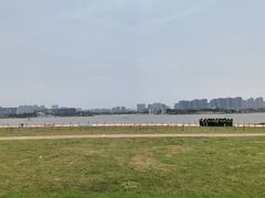 -九龙湖公园