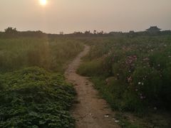 -梁鸿国家湿地公园