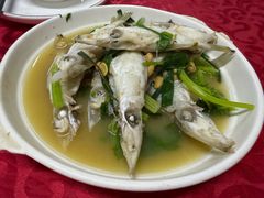 -蛇口康乐快餐鱼仔档(翠苑小区店)