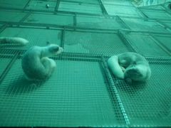 -泉城欧乐堡海洋极地世界