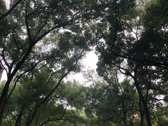 -四川大学(望江校区)
