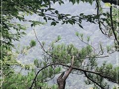 -罗田天堂寨风景区