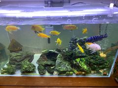 水产区-Rabbit Cafe私房西餐甜点咖啡(栖霞路店)