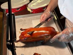 -秀儿四九城·新京菜(亚运村鸟巢店)