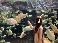 -南昌融创海世界