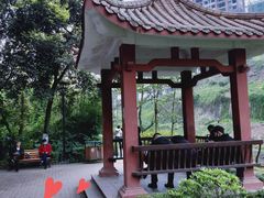 -重庆彩云湖湿地公园