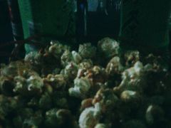 -嗨度KTV(万达店)