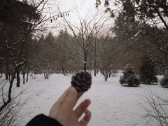 -长春市南湖公园