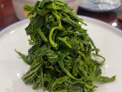 -邵年鸽(杨庄店)