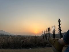 -臭鳜鱼人家·老字号徽菜