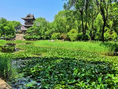 -常家庄园