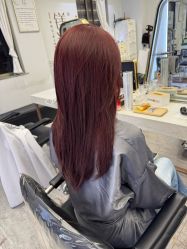 -镁连社·美联社