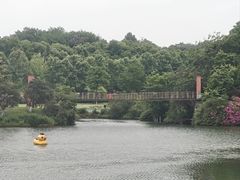 -宜兴龙背山森林公园