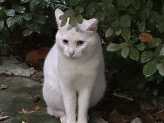 -南京工程学院(江宁校区)