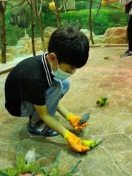 -宝燕乐园(闵行旗舰店)