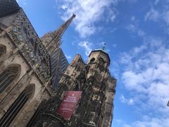 -斯蒂芬主教座堂(Stephansdom)