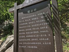 -阳台山自然风景区