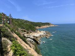 -广东惠东海龟国家级自然保护区