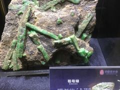 -中华赏石园