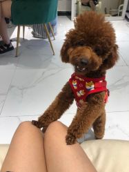 -J·C NAIL美甲美睫