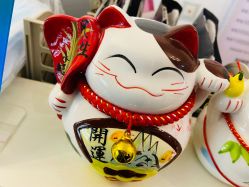 -美肤盾祛痘·问题肌头疗管理中心