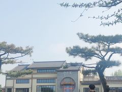 -诗经里