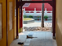 -宝通禅寺