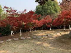 -白马涧龙池景区