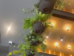 -西堤牛排(合肥之心城店)