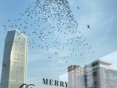 -LA合时健身4PMFIT(花桥旗舰店)