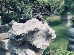 -拙政园