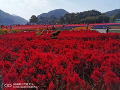 -广州市石门国家森林公园