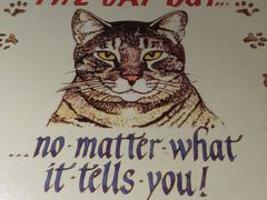 -Sirena海妖日咖夜酒