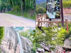 -洛阳白云山景区