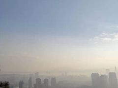 -仙岳公园