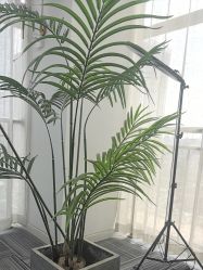 -AM半永久纹眉